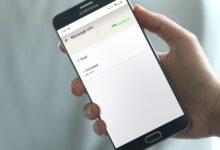 Décodage des marques de contrôle WhatsApp: ce qu'ils signifient vraiment pour vos chats