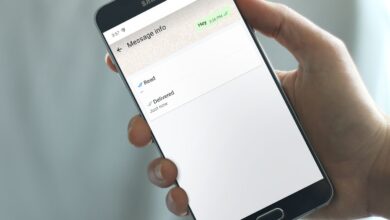 Décodage des marques de contrôle WhatsApp: ce qu'ils signifient vraiment pour vos chats