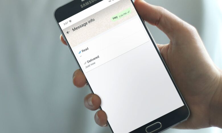 Décodage des marques de contrôle WhatsApp: ce qu'ils signifient vraiment pour vos chats