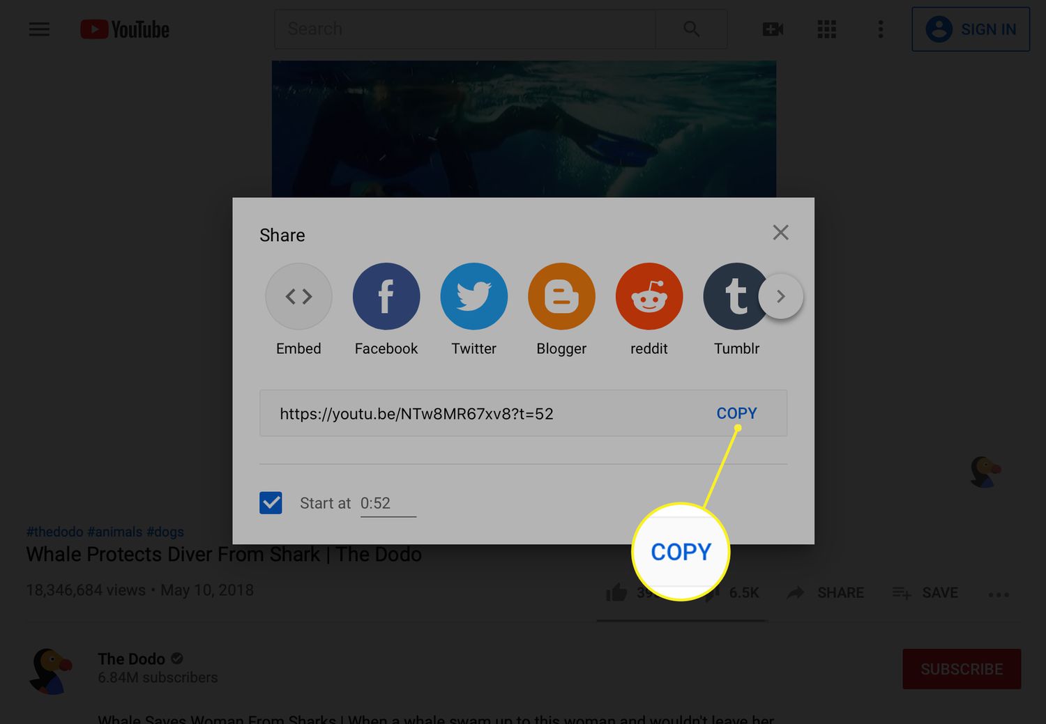 Le bouton Copier sur l'écran de partage YouTube