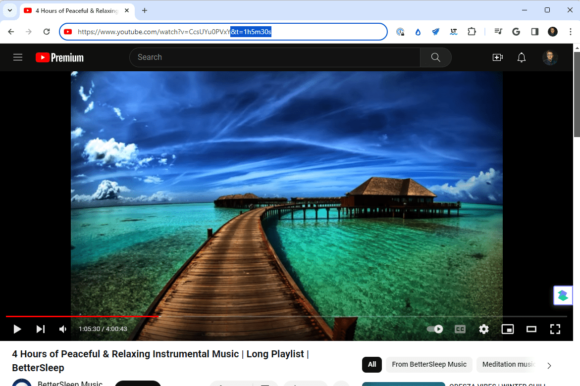 Une URL vidéo YouTube avec un horodat