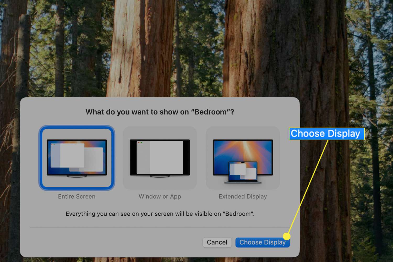 Choisissez un menu contextuel de miroir de l'écran d'affichage sur un mac