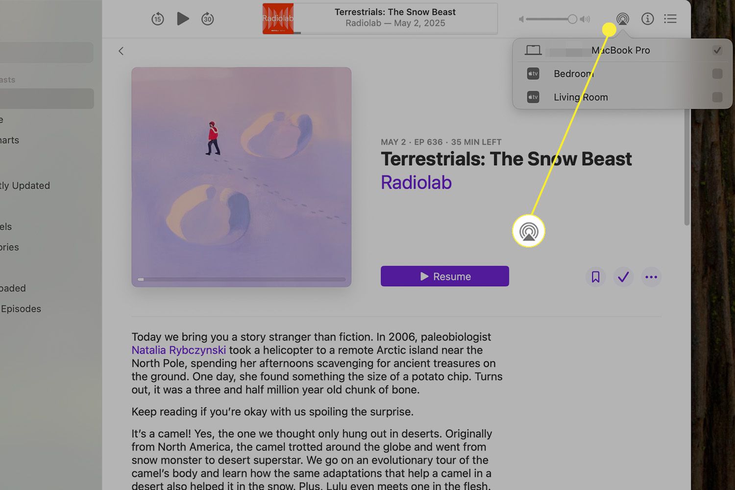 Icône audio AirPlay mise en évidence de l'application Apple Podcasts sur un Mac