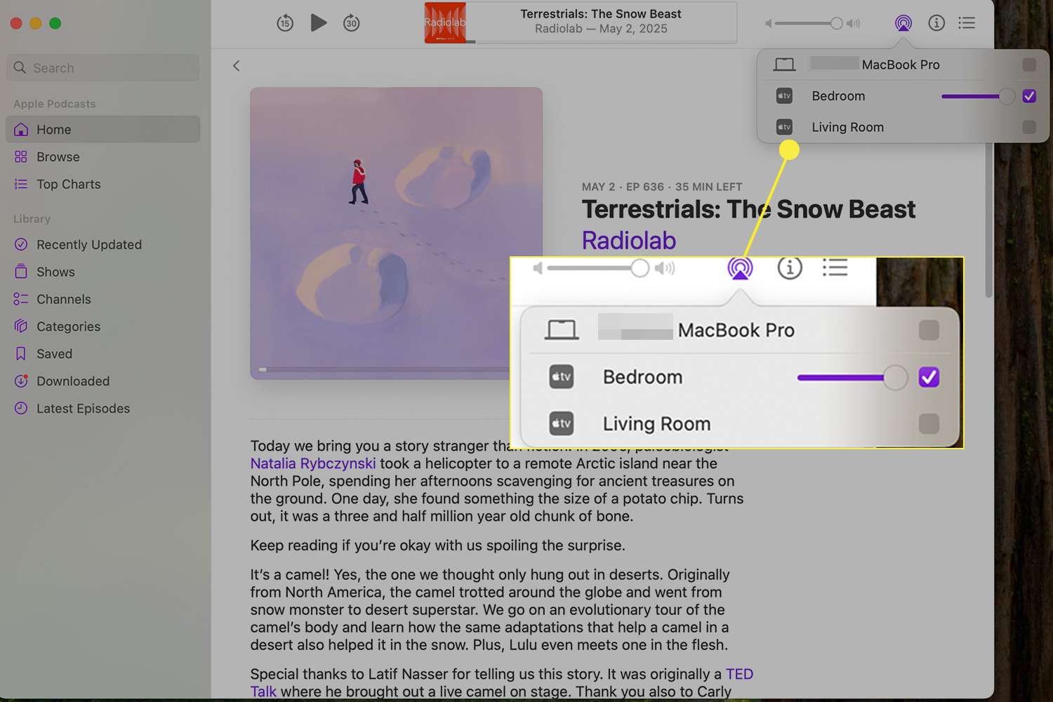 Appareil sélectionné dans le menu AirPlay dans l'application Apple Podcasts sur un Mac