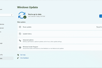 Utilitaire de mise à jour Windows dans Windows 11