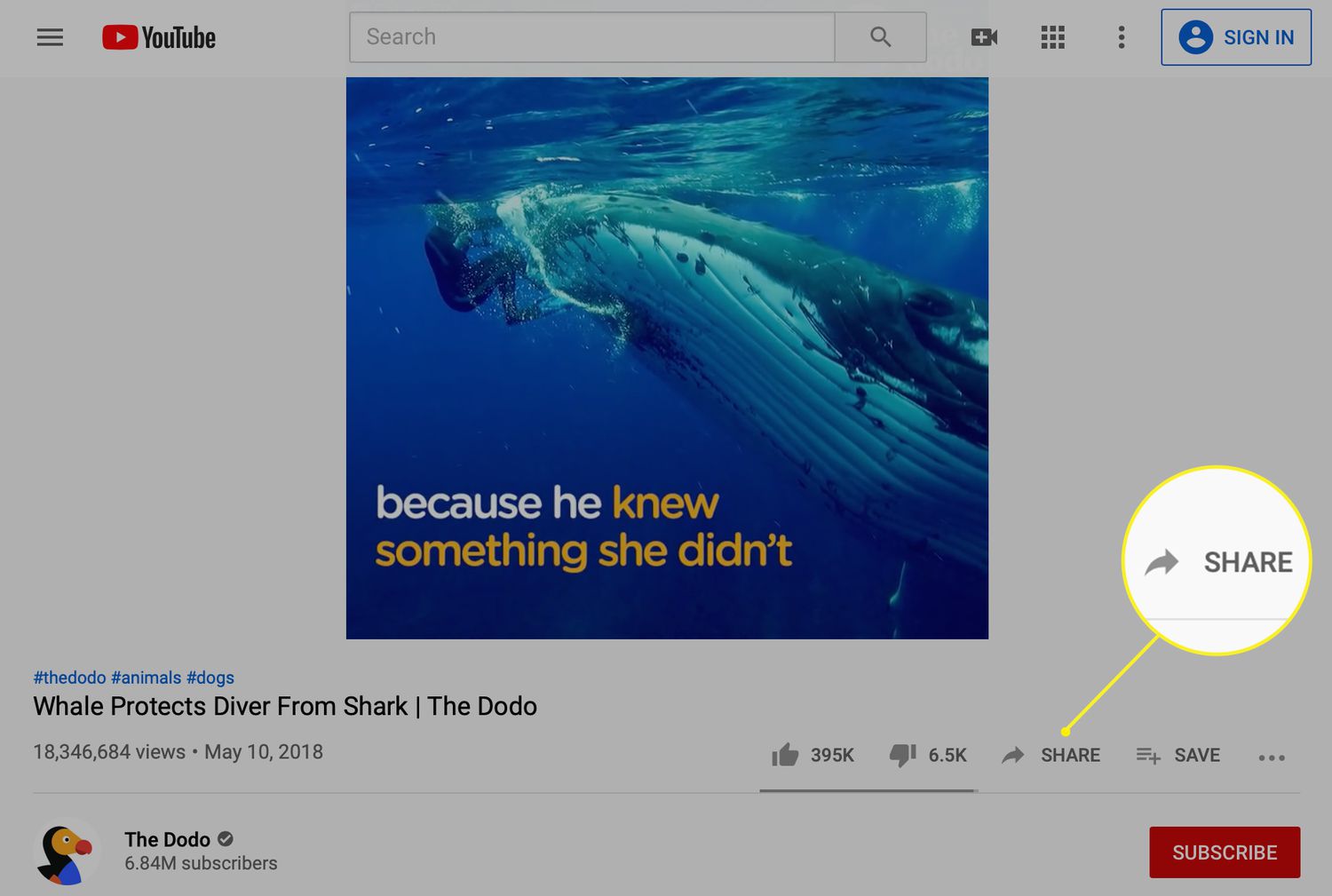 Vidéo YouTube avec une option de partage mise en évidence