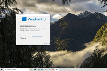 Windows 10 sur l'invite Windows