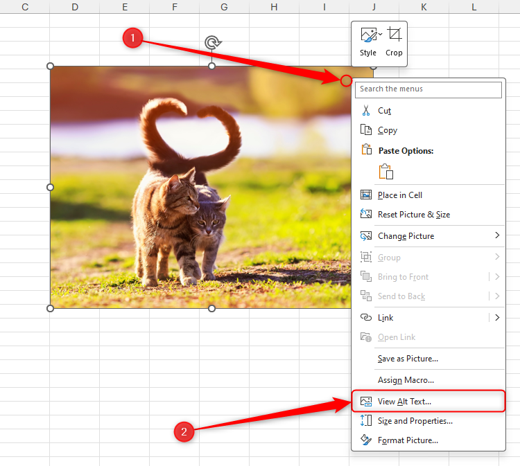 Une feuille Microsoft Excel avec le menu de clic droit d'une image ouverte et afficher le texte alt sélectionné.