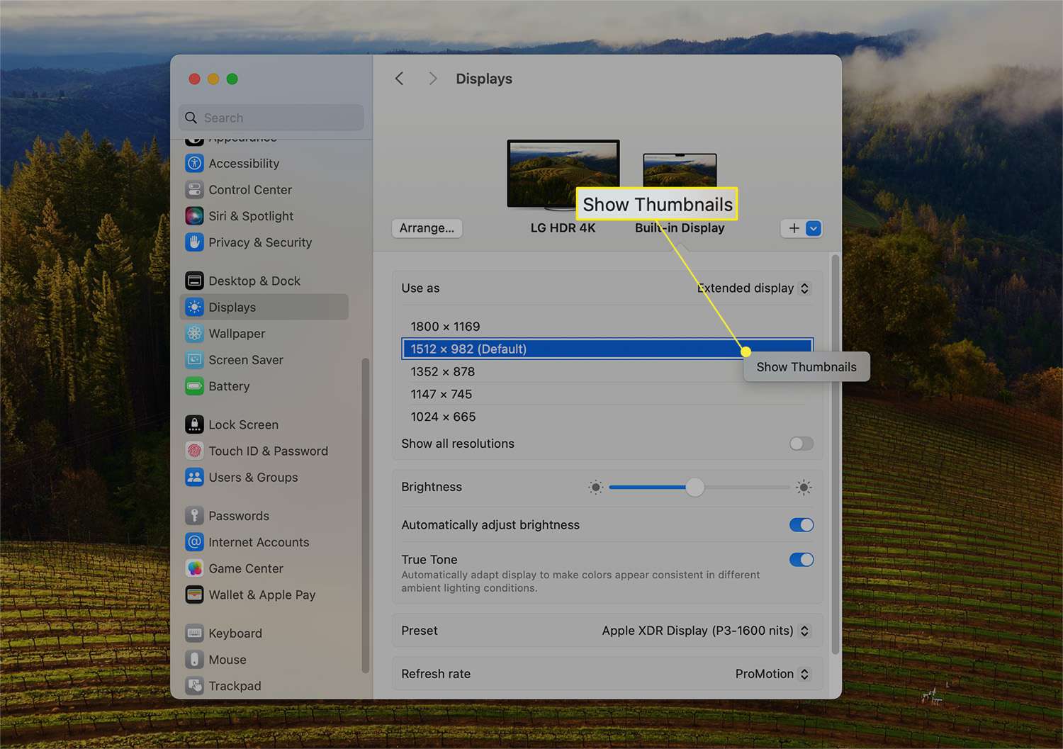 Afficher les miniatures pour les résolutions mises en évidence à partir des paramètres d'affichage dans macOS.