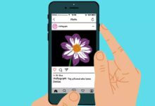 Captures d'écran d'Instagram: les faits que chaque utilisateur doit connaître