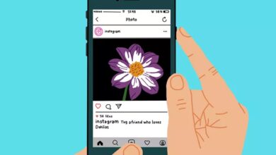 Captures d'écran d'Instagram: les faits que chaque utilisateur doit connaître