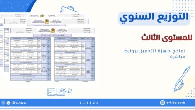 التوازيع السنوية للمستوى الثالث