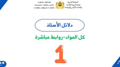 دلائل الاستاذ للمستوى الاول ابتدائي 7 دلائل الاستاذ للمستوى الاول ابتدائي