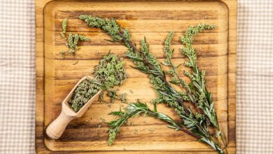 الشيح: الفوائد والخصائص والآثار الجانبية 1 الشيح: الفوائد والخصائص والآثار الجانبية