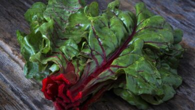 السلق: الفوائد والخصائص وموانع الاستعمال