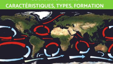 التيارات البحرية: الخريطة والتعريف والاسم والتكوين 10 التيارات البحرية: الخريطة والتعريف والاسم والتكوين