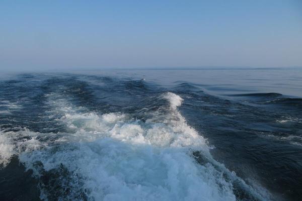 التيارات البحرية: الخريطة والتعريف والاسم والتكوين 2 التيارات البحرية: خريطة، تعريف، أسماء وتكوين - أنواع التيارات البحرية