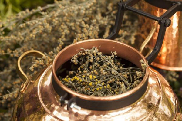 الأفسنتين: الفوائد والاستخدامات 2 الأفسنتين: الفوائد والاستخدامات - كيف تستهلك الأفسنتين؟