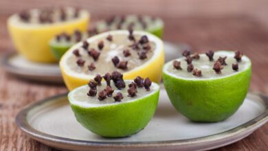 التخلص من الذباب بفعالية 24 التخلص من الذباب بفعالية