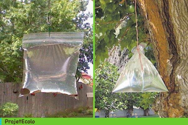 التخلص من الذباب بفعالية 1 التخلص من الذباب - أكياس الماء
التخلص من الذباب بفعالية