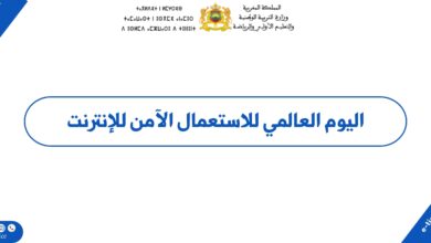اليوم العالمي للاستعمال الآمن للإنترنت العدة الشاملة 2 اليوم العالمي للاستعمال الآمن للإنترنت