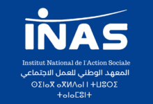 Licence INAS Tanger 2024-2025