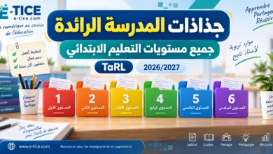 جذاذات TaRL للمدرسة الرائدة