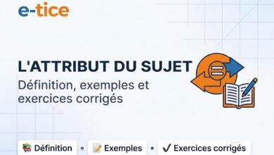 Attribut du sujet : définition, exemples et exercices corrigés