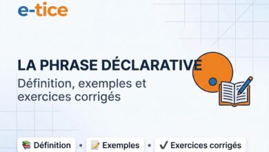 Phrase déclarative : définition, exemples et exercices corrigés